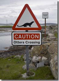 Caution-Otters Crossing, Road sign on the island of South Uist, Outer Hebrides, Scotland 